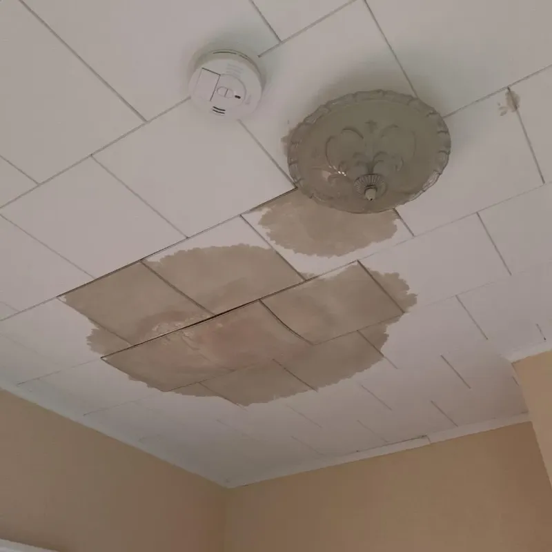Ceiling Water Damage Repair in Cimarron, KS