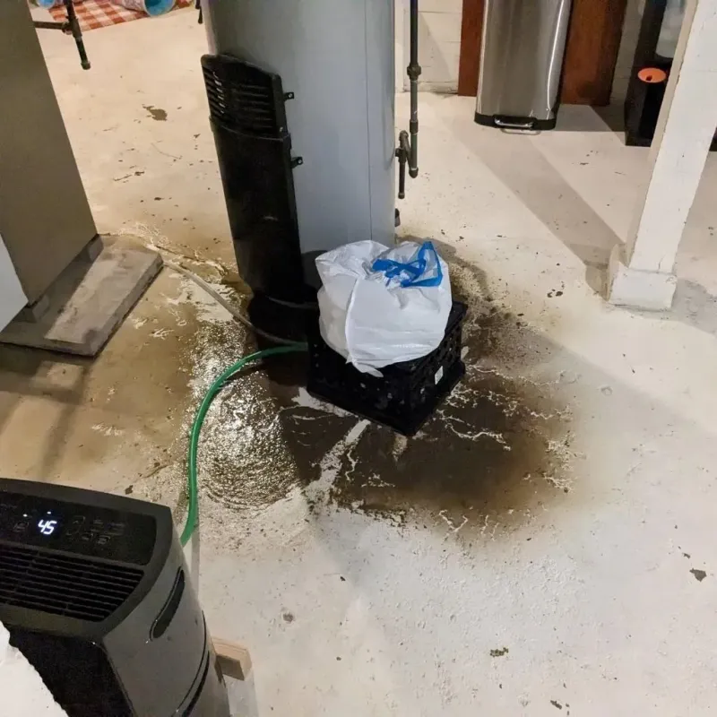 Sewage Backup Cleanup Service in Cimarron, KS